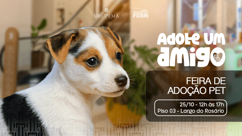 Ilustração do evento: Patteo Urupema Shopping e Grupo Fera promovem adoção de cães e gatos neste sábado